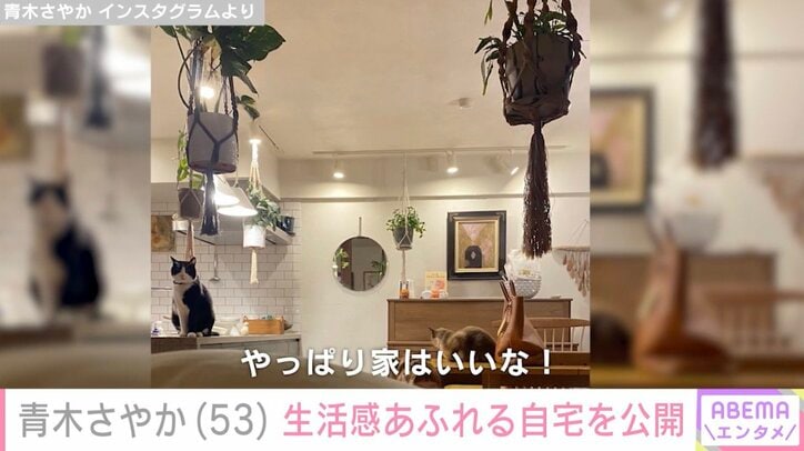 青木さやか Instagramより