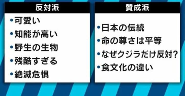 なぜクジラやイルカを食べてはいけないのか ザ コーヴ の反証映画が映画賞受賞 国内 Abema Times