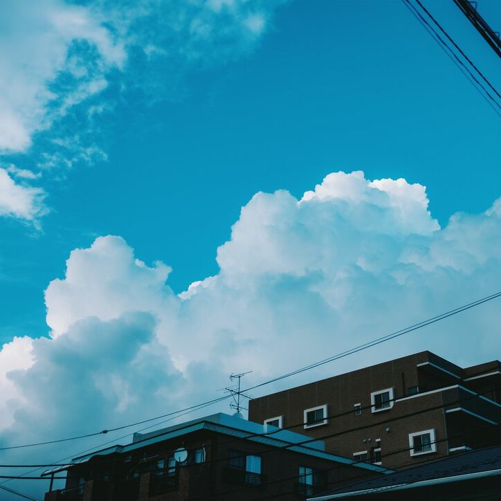 【写真・画像】　3枚目