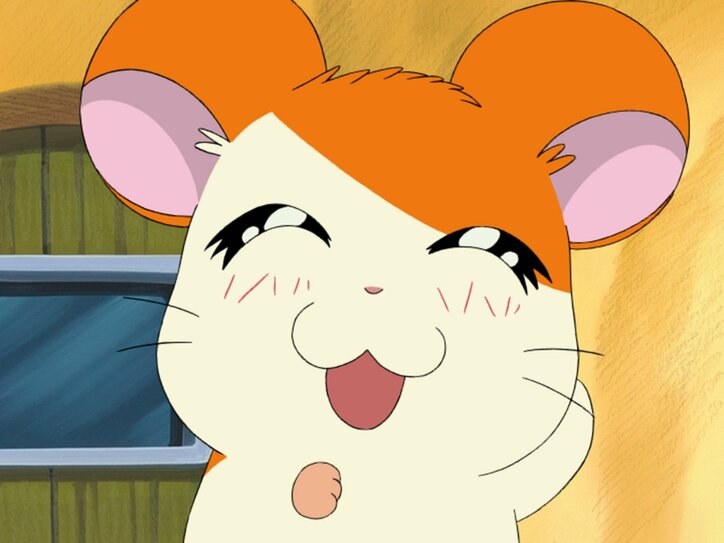 【写真・画像】アニメ 『とっとこハム太郎』放送25周年記念!TVシリーズ全話&劇場版4作品が7月7日(月)より無料配信開始 3枚目