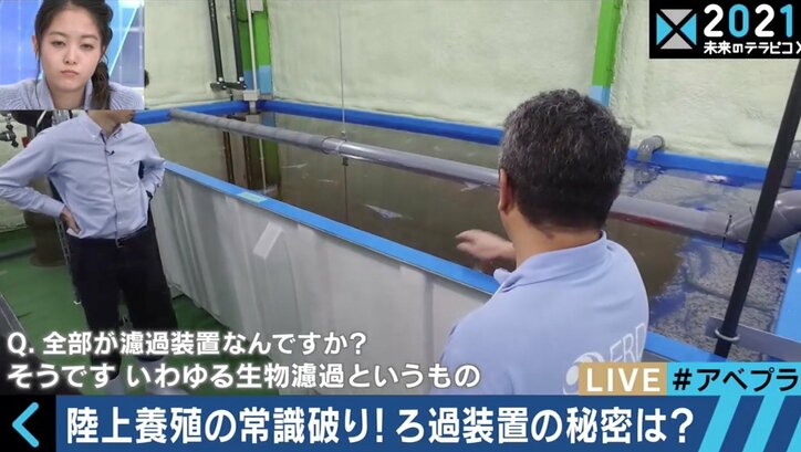 サーモンの“陸上養殖”は可能なのか?美味しい魚がずっと食べられる環境を目指すベンチャー企業