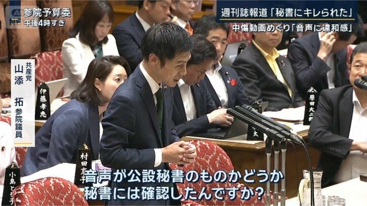 共産党　山添拓参院議員