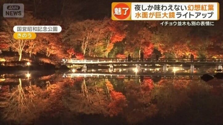 混雑せずに楽しめるモミジ狩り