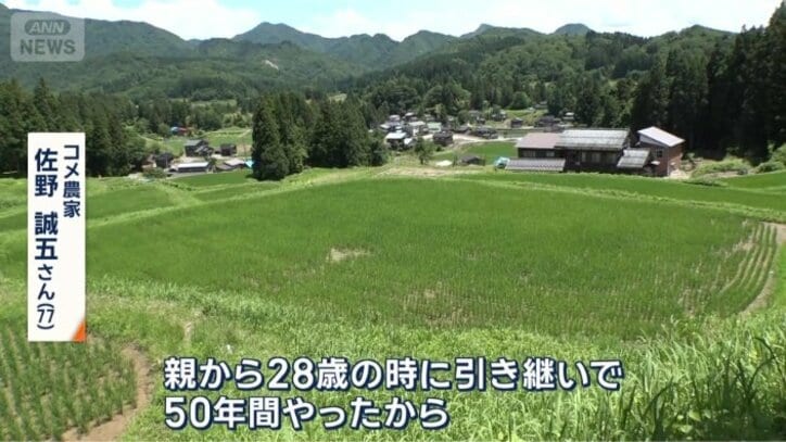 これまで棚田を守り続けたが…