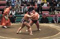 「やりやがったなって顔してる」「ものすごい公開ビンタ」ガチンコ相撲にファン恐々 「これ失神しないのすごい」「先輩をめっちゃ張る」ド迫力の一番に騒然
