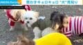 「犬怖いよー！」ドッグランで困惑する“犬見知り”のわんこ…知らない人に助けを求める姿に反響「可愛すぎ」「『助けて〜！』って顔してる」