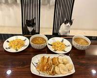 藤あや子『昨日の晩ごはん』