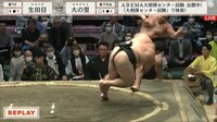 【映像】土俵下で祈るように上目遣いで協議を見る大の里