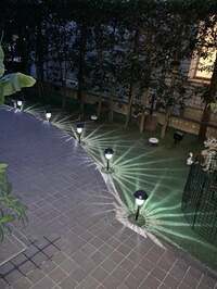 デヴィ夫人『新しいライトが点灯！』