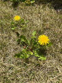 最上もが『シングルになった理由とその後の話』