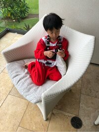 市川海老蔵『朝が楽しい』