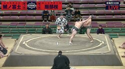 服部桜、初場所でも0勝2敗　連敗記録は「69」に　通算1勝91敗1休
