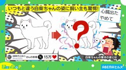 「首が折れてる!?」ケージで眠る柴犬の見たことのない“驚きの寝相”に飼い主驚愕