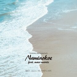 TOSHIKI HAYASHI(%C)が「Sea of Love」シリーズ初参加! 新曲「Naminokoe (波の声)」は、客演にmaco marets をフューチャーした、海辺で聴きたいチルなサマー・チューン!