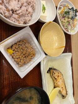  堀ちえみ、3年ぶりの大腸内視鏡検査の結果を報告「眠り薬を使った検査」 