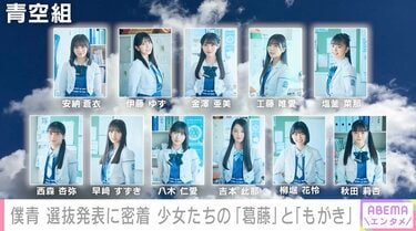 僕が見たかった青空 僕青 八木仁愛 直筆サイン チェキ 初期 当選通知書