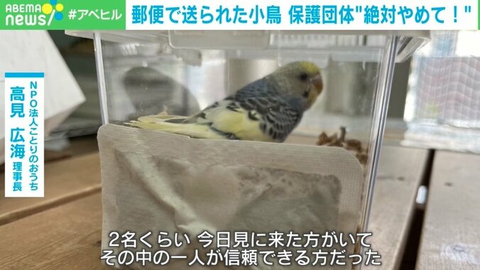 【写真・画像】生きたインコを「ゆうパック」で一方的に送付！？ 「命をなんだと」保護団体怒り 神庭亮介氏「“中途半端な優しさ”が仇になった」 対策は？　4枚目