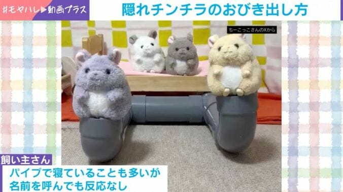 パイプ