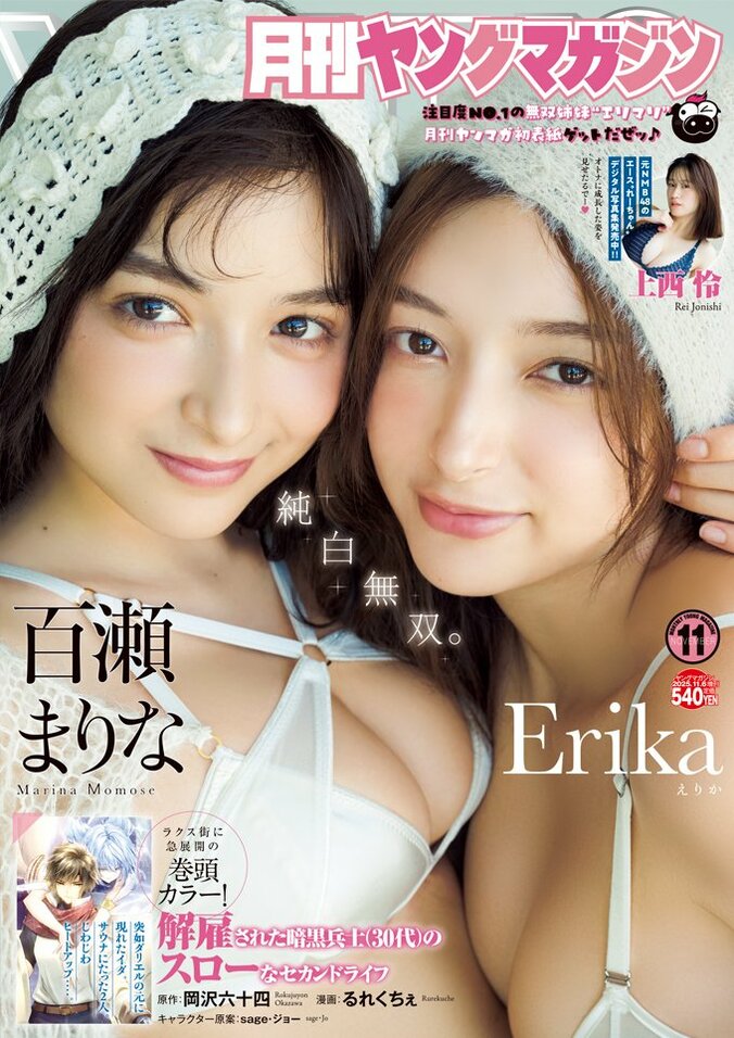 『月刊ヤングマガジン No.11』