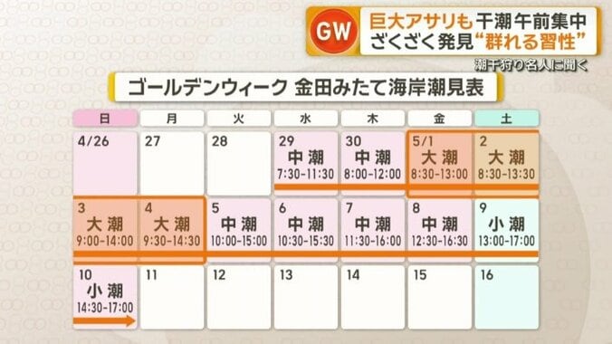 ゴールデンウィーク金田みたて海岸潮見表