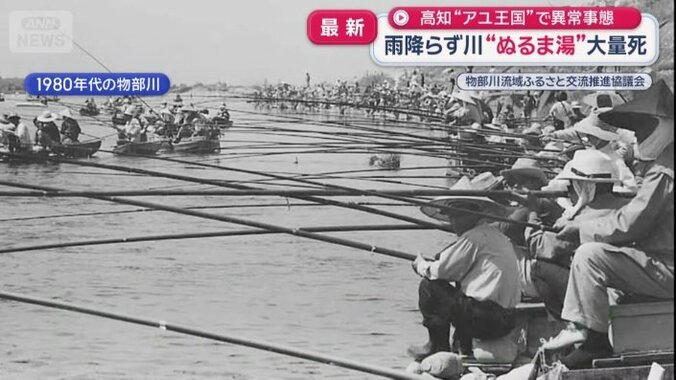 1980年代の物部川