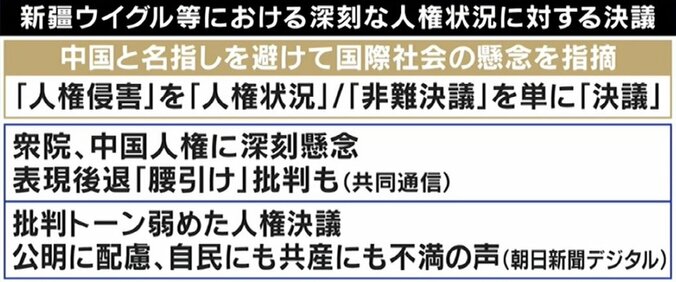 北京五輪開幕も…人権問題でスポンサーも広告自粛？ 各国反発する中で日本はなぜ“配慮”するのか？ ひろゆき氏「要するに日本はもう貧乏」 2枚目