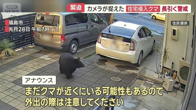 注意を呼びかけるアナウンスの中を歩く