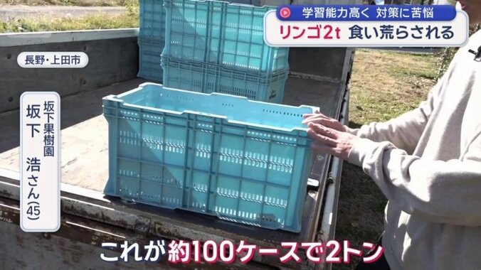 被害に遭った量は約2トン