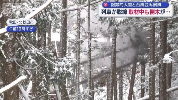 取材中にも車両の付近で倒木