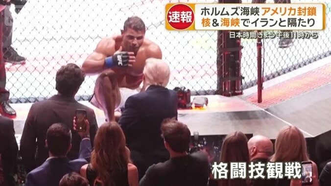 格闘技観戦するトランプ大統領