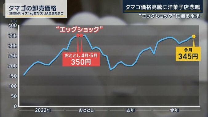 タマゴの卸売価格