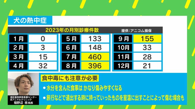 【写真・画像】愛犬が熱中症で入院→「今日が山場」…獣医師に聞く“熱中症になりやすい犬種”と“対策”　3枚目