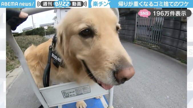 【写真・画像】　1枚目