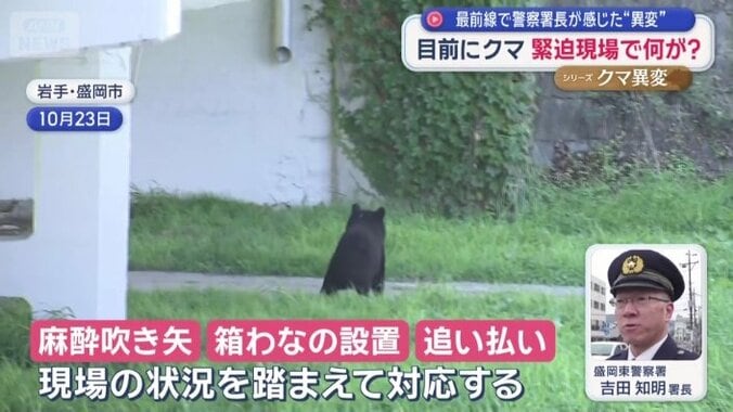 緊急銃猟が難しい場合