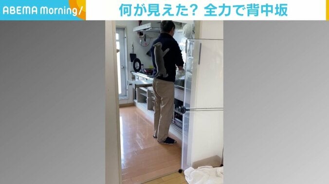 見えた景色は…？ 直角の“背中坂”を駆け上がる猫が「スパイダーマンや」 1枚目