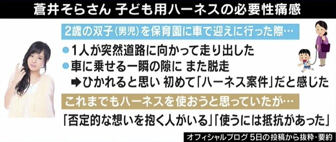 ひろゆき氏、子ども用ハーネスへの批判に苦言「頭の悪い人の気持ちに配慮する必要ない」 1枚目