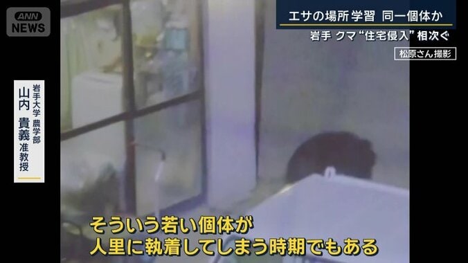 岩手大学農学部　山内貴義准教授