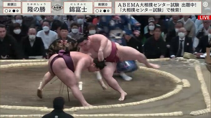 これが本当に“おむすびころりん”隆の勝、足が滑って転倒に愛らしい苦笑い「ころりんちゃん」 1枚目