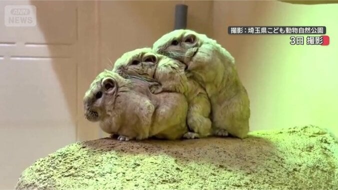 ピッタリ重なります