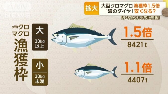 大型が1.5倍、小型が1.1倍に