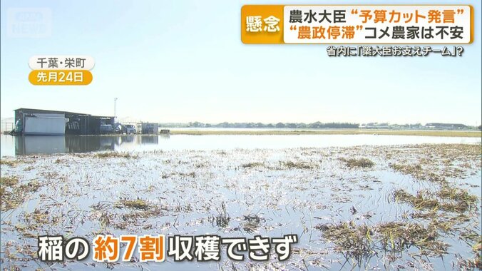 7割近くの稲が収穫できず