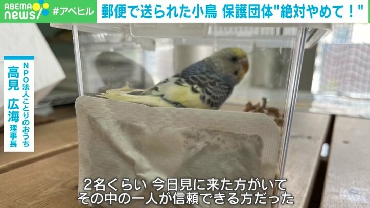 【写真・画像】生きたインコを「ゆうパック」で一方的に送付！？ 「命をなんだと」保護団体怒り 神庭亮介氏「“中途半端な優しさ”が仇になった」 対策は？　4枚目