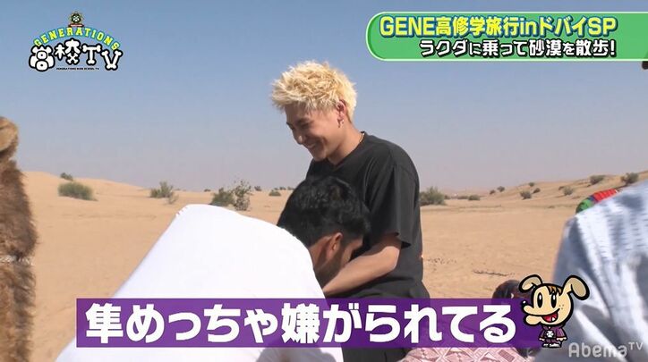 片寄涼太、王子キャラ崩壊！？砂漠でラクダ体験するもビビりまくり絶叫