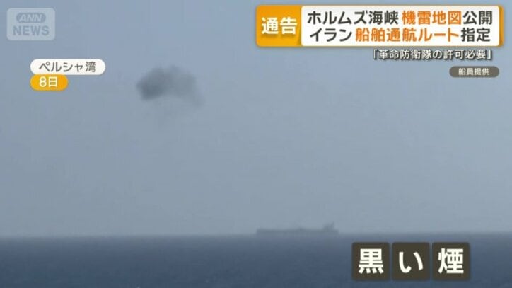 船員が撮影したペルシャ湾の様子