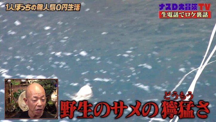 ナスD「かなり命がけ」サメの捕食を間近で目撃…海中で直接対決も