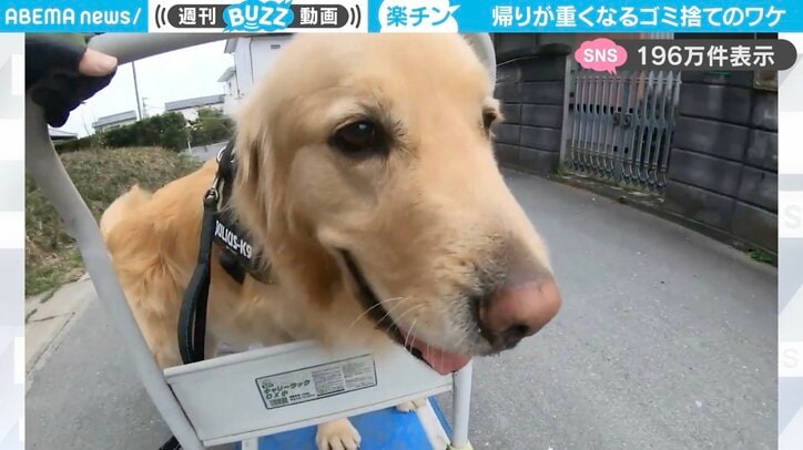 【写真・画像】　1枚目