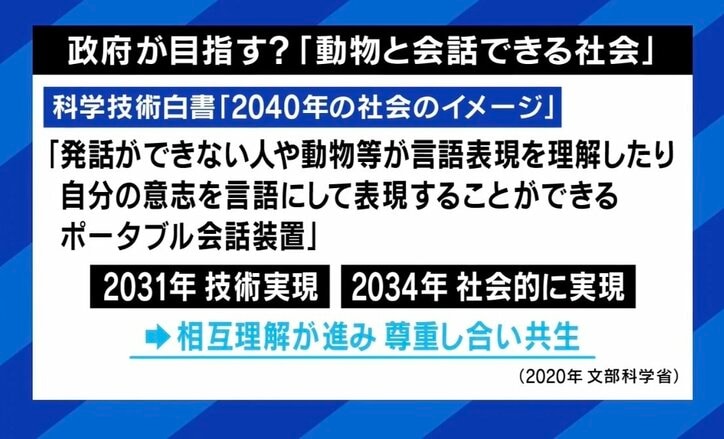 世界初「鳥の言葉を証明」 注目の研究者に聞く、動物たちは何をしゃべってる? 「人間中心の先入観から脱却して世界を見直すべし」