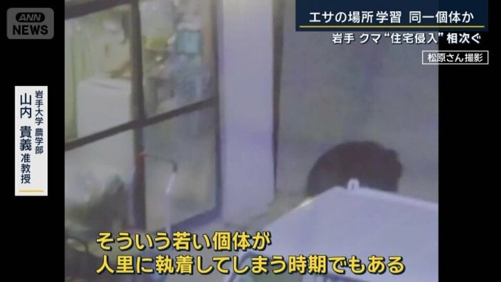岩手大学農学部 山内貴義准教授