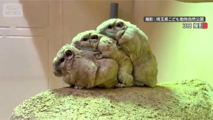 ピッタリ重なります