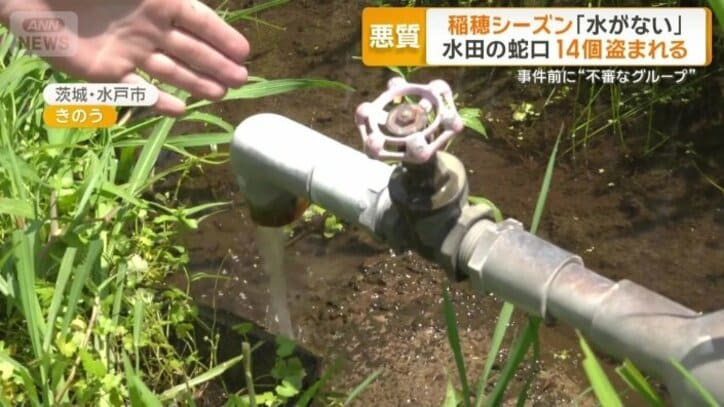 19個のうち14個が盗まれた金属製の蛇口